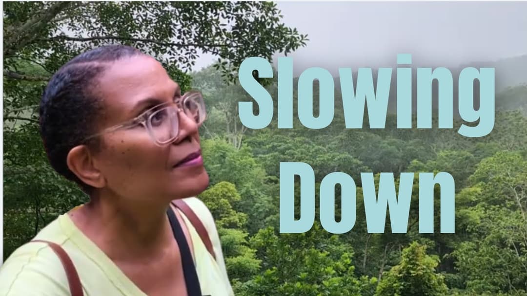Finding  Peace in the Rainforest: A Mindful Journey
