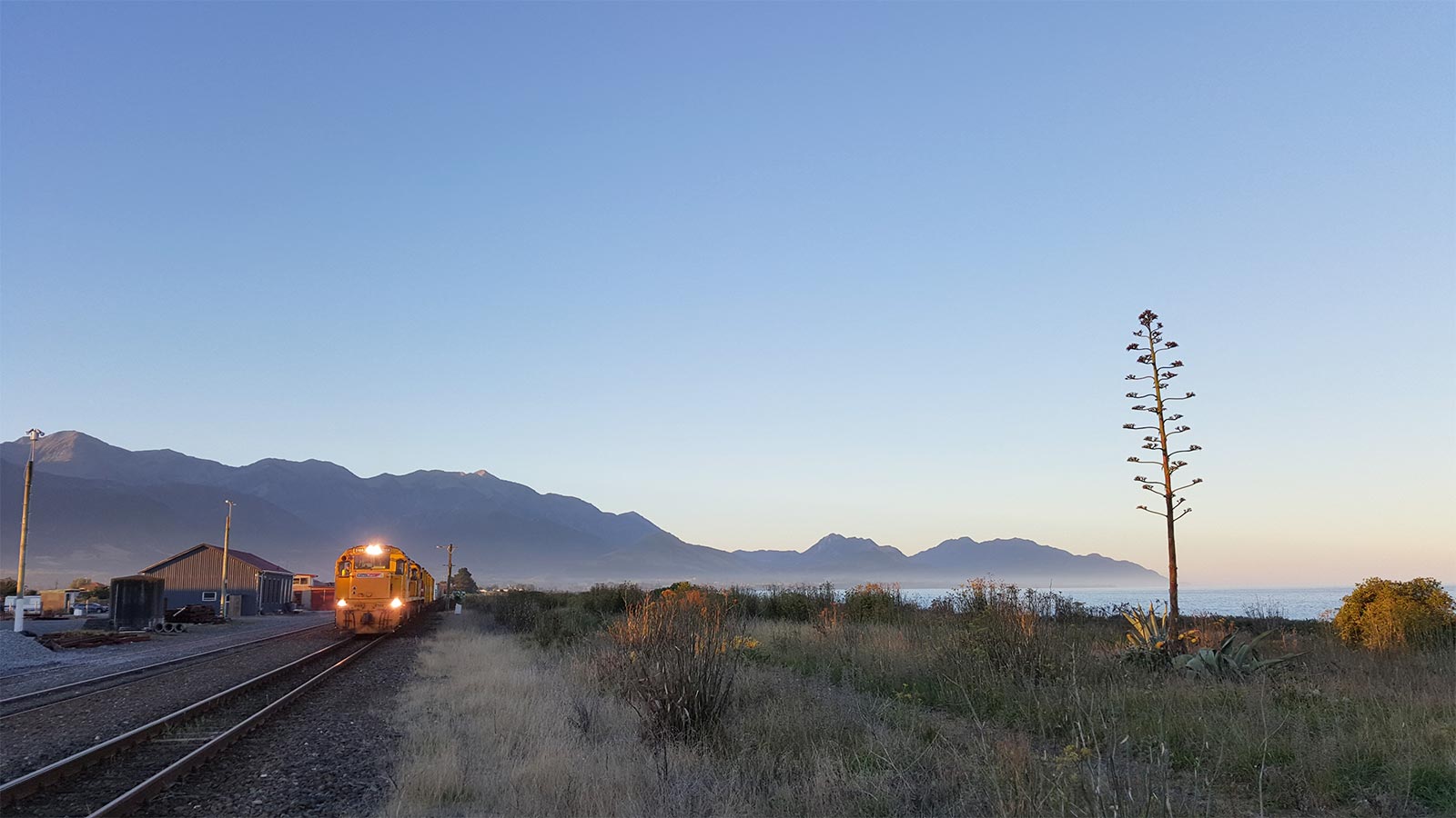 A train moving along its tracks.