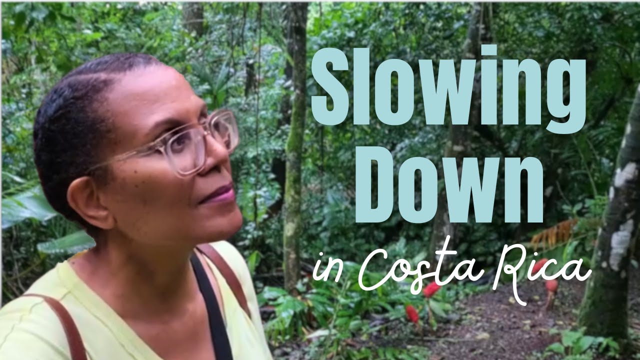 Finding  Peace in the Rainforest: A Mindful Journey