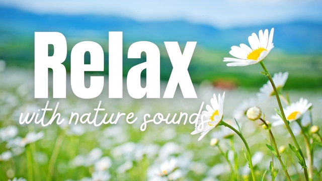 Beautiful Relaxing Music for Stress Relief, Sleep, Study, Meditation